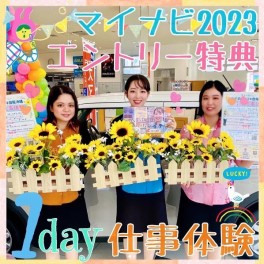 マイナビ2023エントリー特典 ·ᴥ·